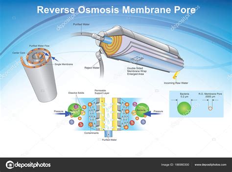 Reverse Osmosis membrane pore system. Illustration. Stock Vector Image ...