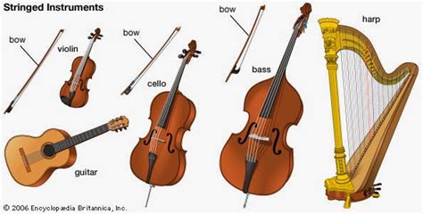 String Musical Instruments Pictures With Names - Draw-411