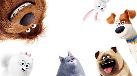 Secret Life Of Pets Desktop Wallpapers - Wallpaper Cave