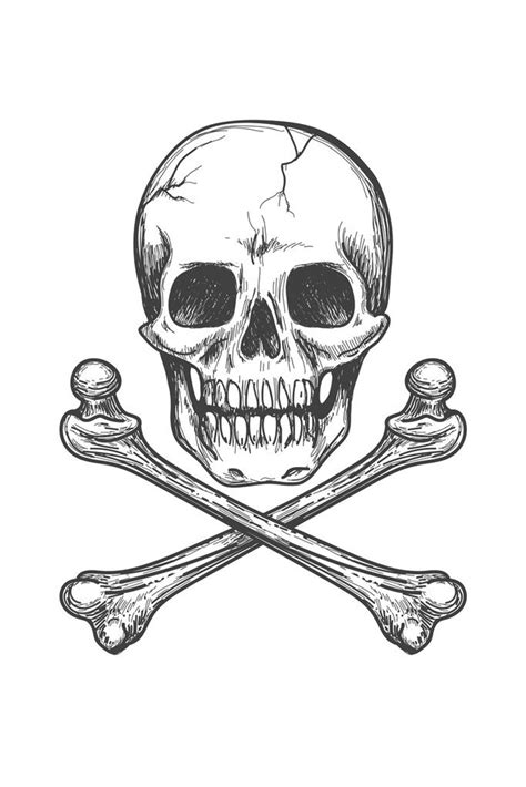 Skull Bones Crossbones Detailed Artistic Drawing Poster Black White ...