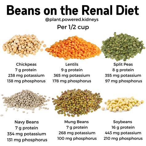 Potassium in Chickpeas & How to Enjoy Them in a Renal Diet