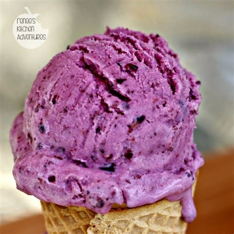 Frozen Blueberry Yogurt - All Created