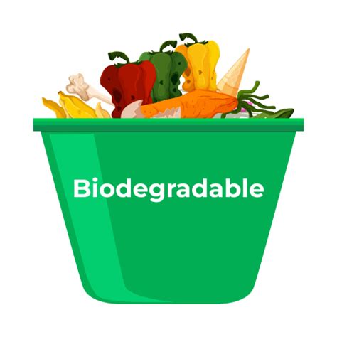 Biodegradable and Non-biodegradable: Definitions and Differences