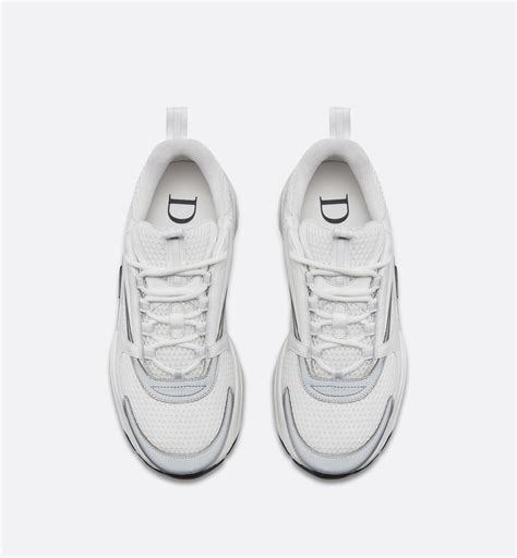 B22 Sneakers - Shoes - Men's Fashion | DIOR AU