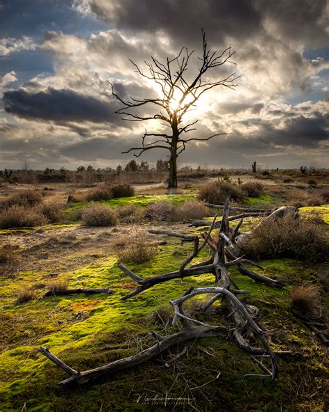 Depth Of Field Landscape