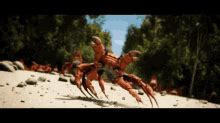 Crab Dancing GIFs | Tenor