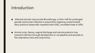 Brucellosis | PPT