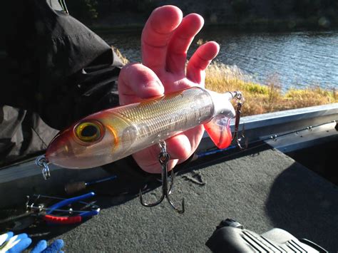 OUTDOORS NM: Trophy Tiger Muskies in Quemado, Bluewater Lakes make for ...