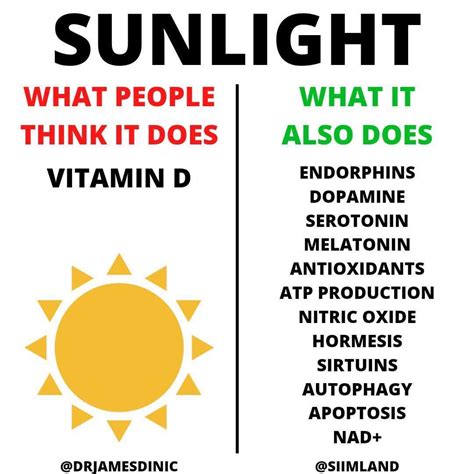 What Are The Benefits Of Sunlight?, 43% OFF