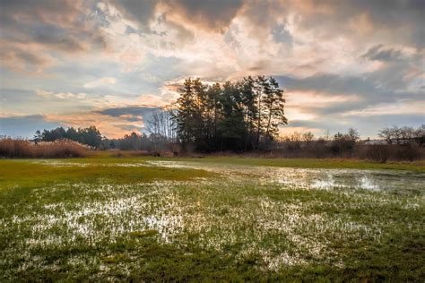 Free picture: swamp, landscape, nature, dawn, grass, sky, atmosphere ...