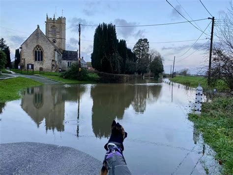 Somerset flooding in pictures - Somerset Live