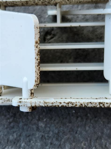 Is this Mold on my AC Dangerous? : r/Mold