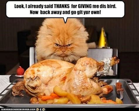 Thanksgiving Memes About Family That Resonate No Matter How Well You ...