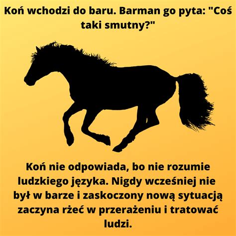 Antyhumor - 10 żartów, które śmieszą, bo nie śmieszą — Tomek Biskup