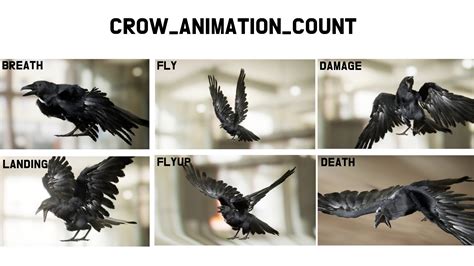 Crow in Characters - UE Marketplace