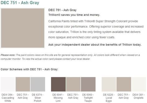 Ash Gray Paint Color - Paint Color Ideas