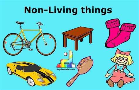 Difference Between Living And Non Living Things | Diffeology