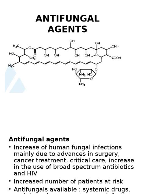 Antifungal Agents | Pharmacology | Medical Specialties