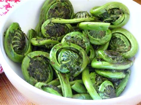 Fiddlehead Ferns - Inhabited Kitchen