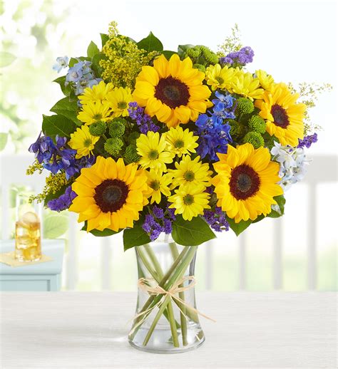 Fields of Europe® Summer | 1800Flowers.com