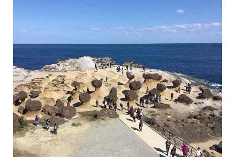 Yehliu Geopark: 4-hour Northern Coast & Yehliu Geopark Tour from Taipei