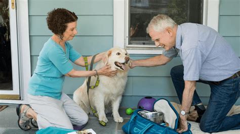 Disaster Preparedness Kit for Pets | Animal Health Topics / School of ...