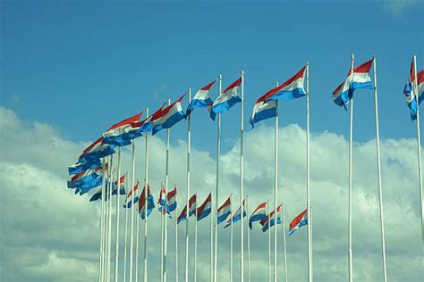 Royalty Free Dutch Flag Pictures, Images and Stock Photos - iStock