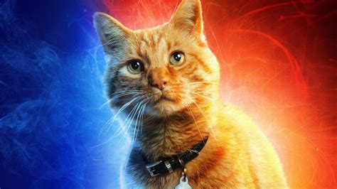 Captain Marvel Cat Species Explained: What Is a Flerken? - IGN