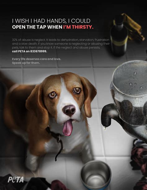 PETA campaign :: Behance