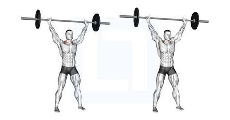 Barbell Overhead Shrug - Guide, Benefits, and Form