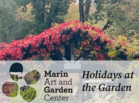 Holidays at The Marin Art & Garden Center