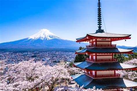 Cherry Blossom ! Five-Story Pagoda,Mt. Fuji 5th Station,Panoramic ...