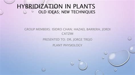 Hybridization in plants.pptx