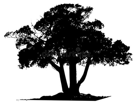 Vector Tree Black Outline stock vector. Illustration of isolated - 3943029