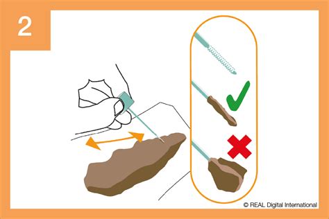 NHS bowel cancer screening: FIT kit instructions (English) - GOV.UK