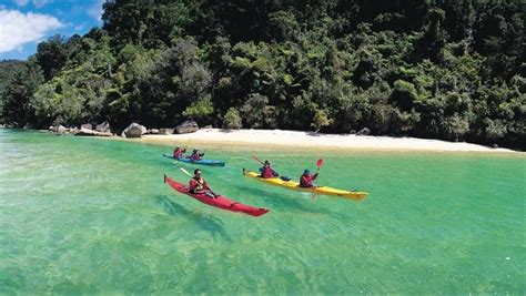 Kayaking in Abel Tasman National Park Honeymoon In New Zealand, New ...