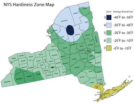 New York State Hardiness Zone Map - Westchester Tree Life