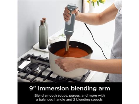 Ninja Immersion Blender and Hand Mixer