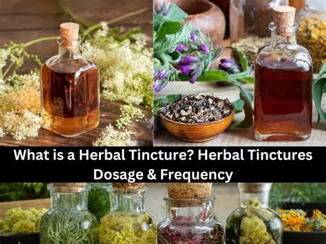 What is a Herbal Tincture? Herbal Tinctures Dosage & Frequency ...