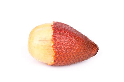 Salacca or zalacca tropical fruit isolated on white background 11042210 ...