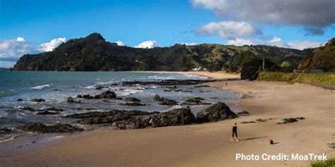 Things to do in Whitianga | 2024 Best Activities & Must-See Top ...