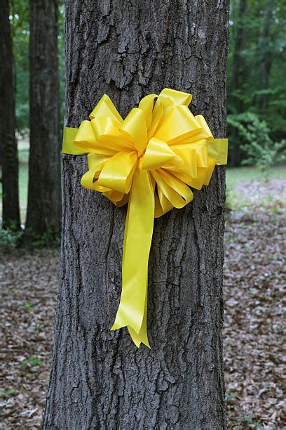 Yellow Ribbon Around Tree Stock Photos, Pictures & Royalty-Free Images ...