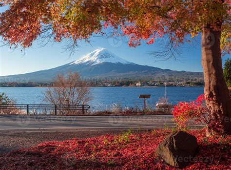 Mt. Fuji and autumn foliage at Lake Kawaguchi. 1406801 Stock Photo at ...