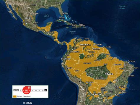 Jaguar Habitat Map