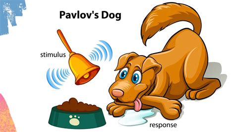 What Year Did Pavlov Do The Dog Experiment