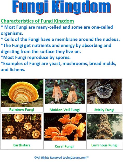 Super Subjects - Super Science - Life Science - Kingdoms - Fungi Kingdom