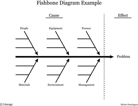 Fishbone Diagram Example In Healthcare