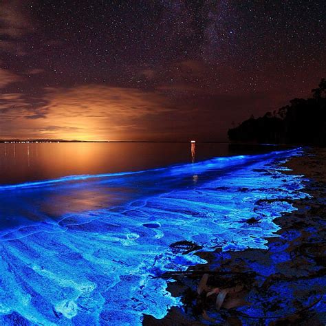 Glowing bioluminisant beach in Maldives - KNUDGE FACTORY