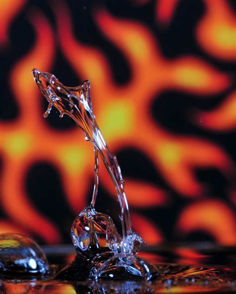 Water Drip 10 | Water Drip Photography. It took some doing b… | Flickr