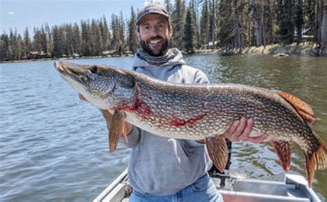 Fly Fisherman Lands Monster Pike (ARTICLE VIA SEELEYLAKE.COM) - Montana ...